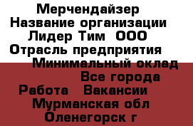 Мерчендайзер › Название организации ­ Лидер Тим, ООО › Отрасль предприятия ­ BTL › Минимальный оклад ­ 17 000 - Все города Работа » Вакансии   . Мурманская обл.,Оленегорск г.